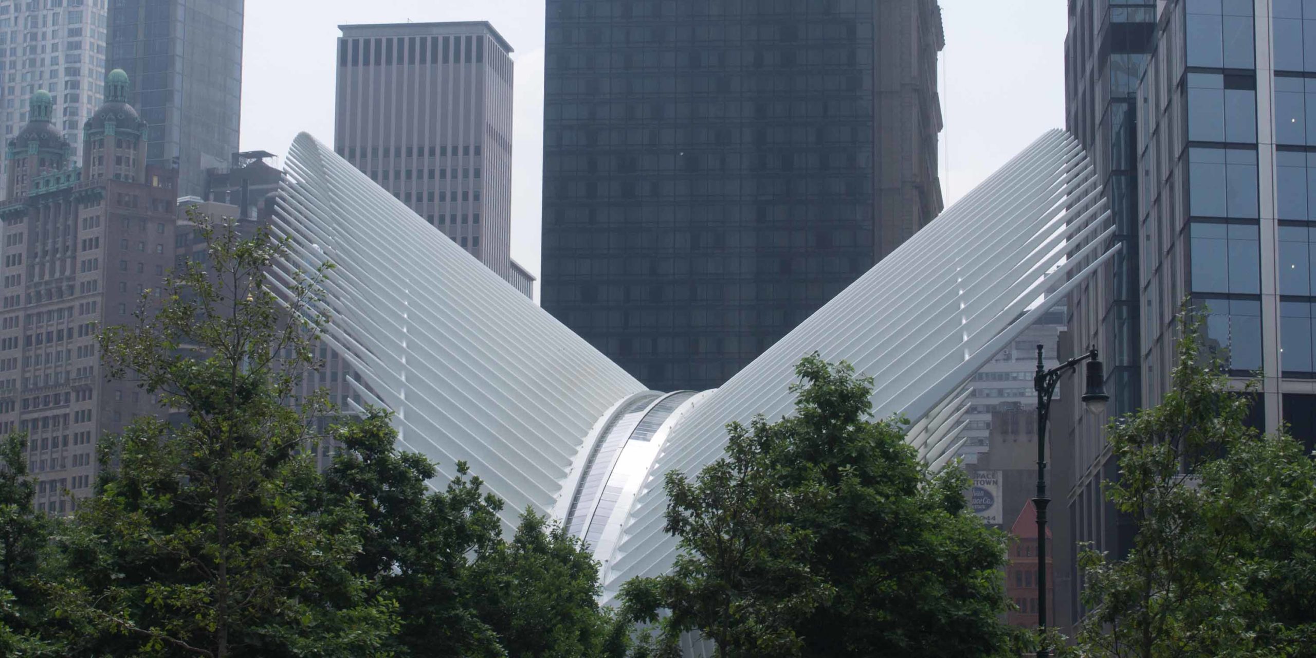 World Trade Center Transportation Hub header image #1
