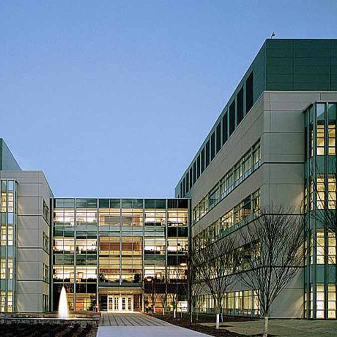 Novartis Pharmaceuticals