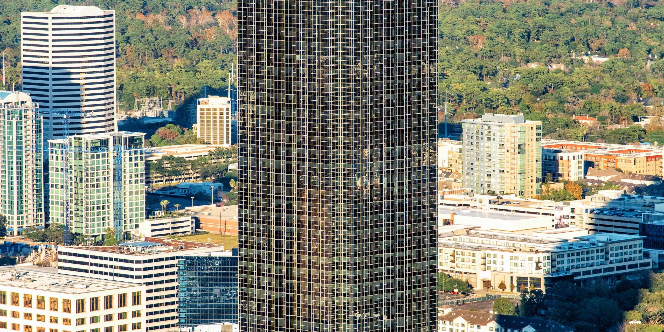 Williams Tower header image #5