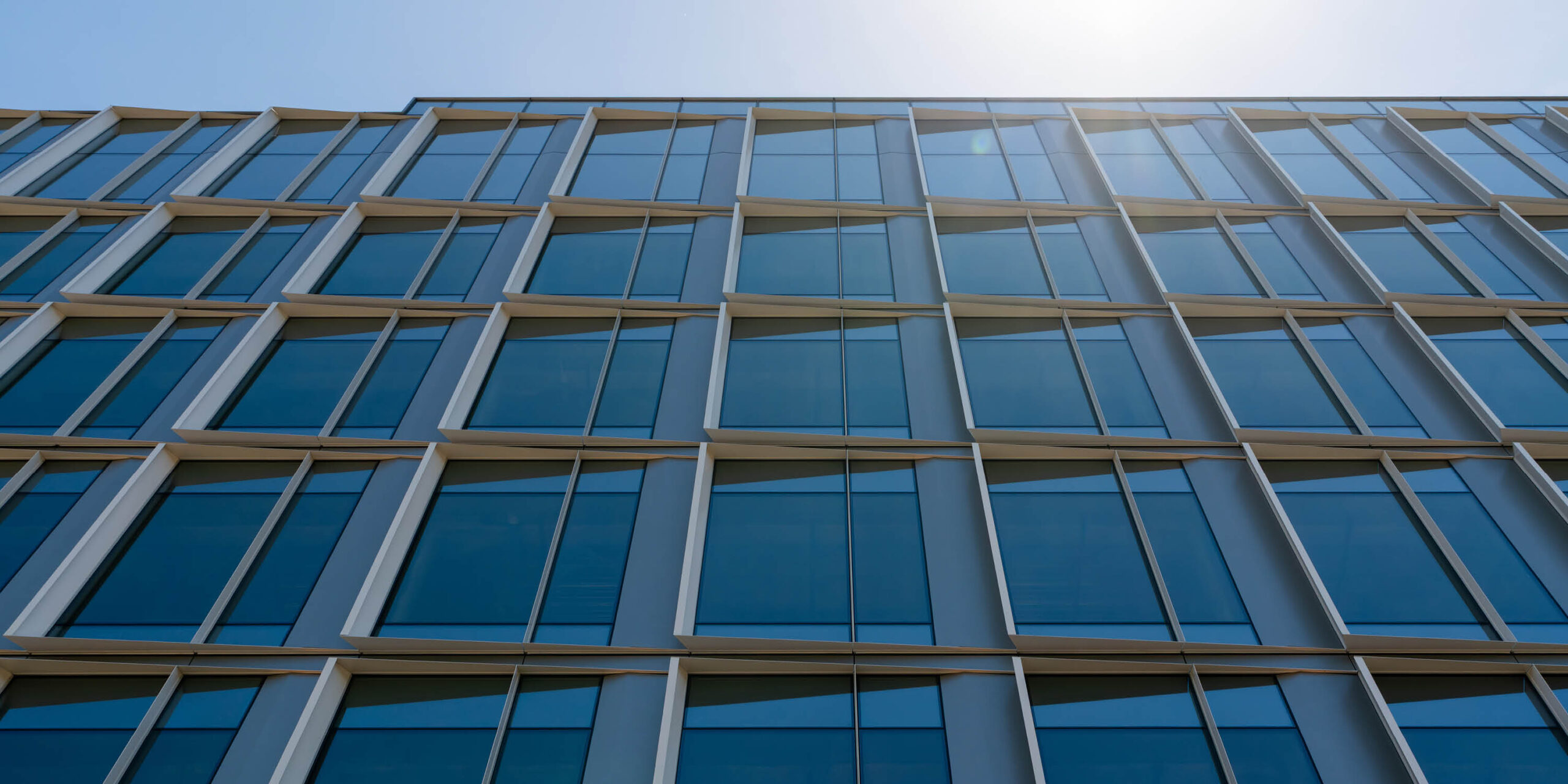 IQHQ Research and Development District (RaDD) header image #14