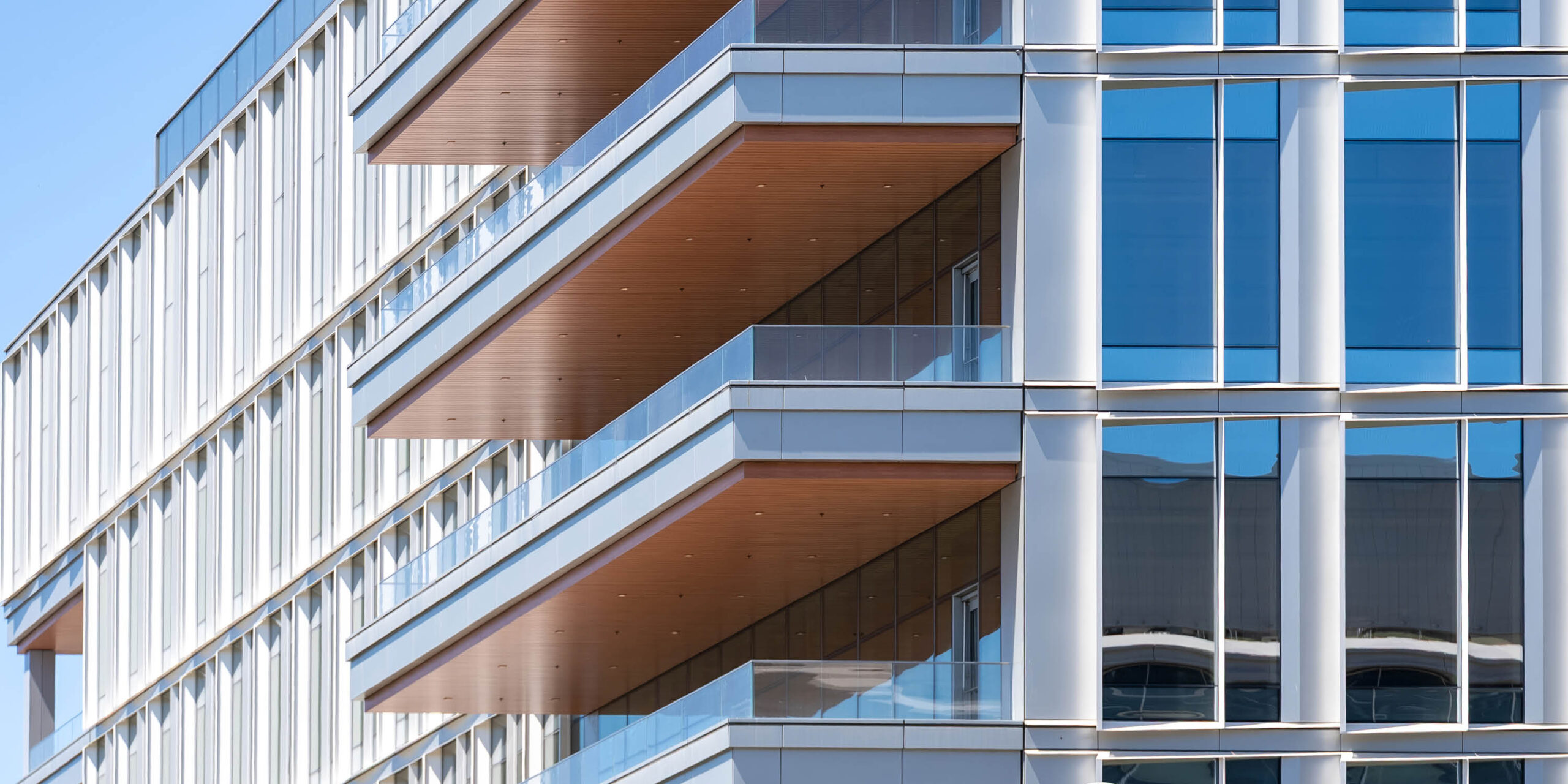 IQHQ Research and Development District (RaDD) header image #15