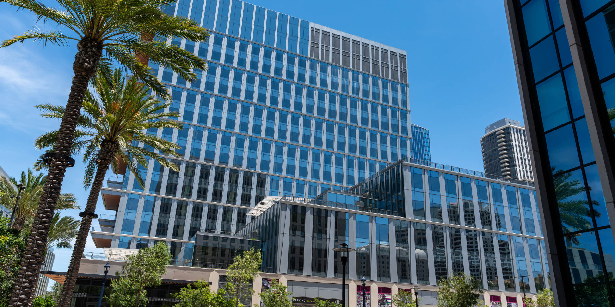 IQHQ Research and Development District (RaDD) header image #2