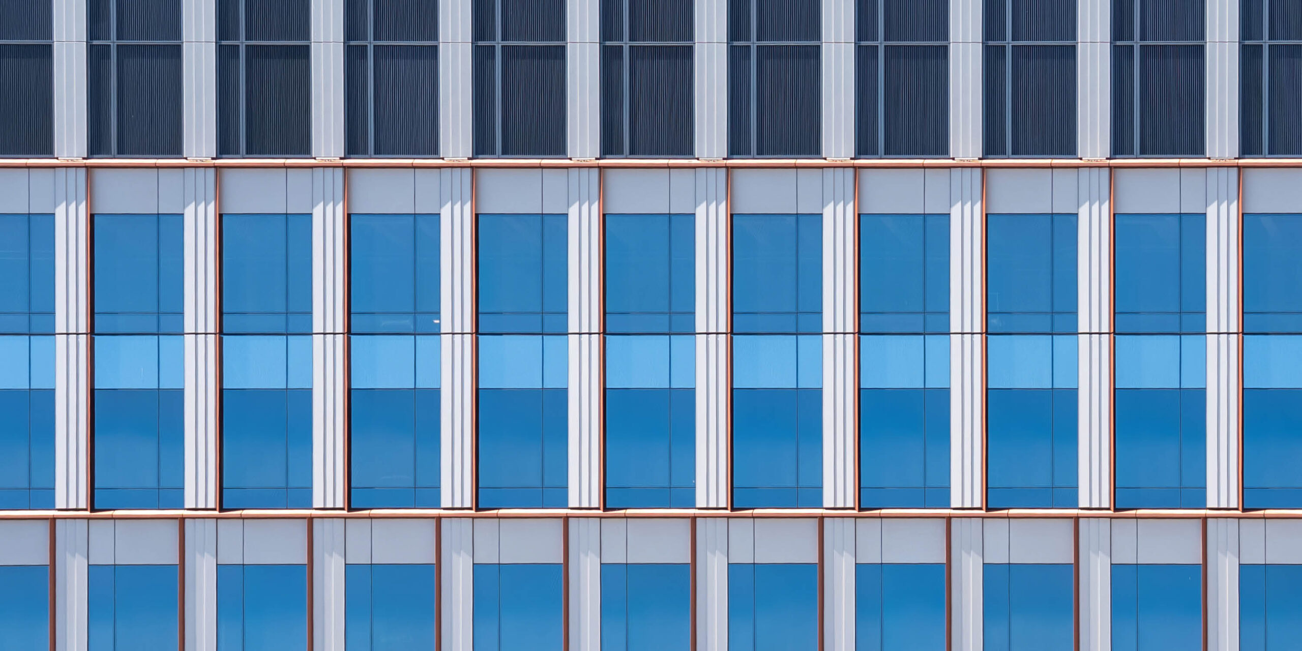 IQHQ Research and Development District (RaDD) header image #11